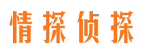 安平市私家侦探